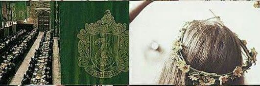 taniaperezv's profile banner image