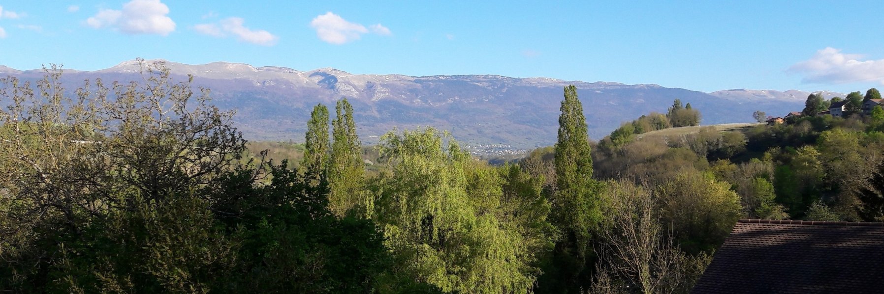 Philippe Roch banner