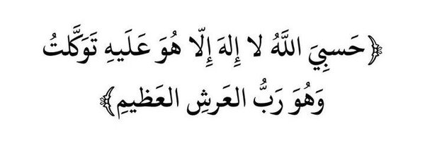 HM313P Profile Banner