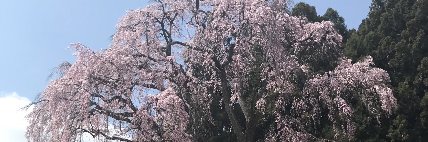 meguttyo23's profile banner image