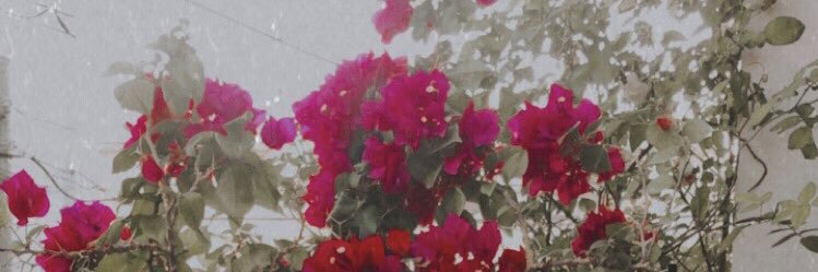 1579Rinrin's profile banner image