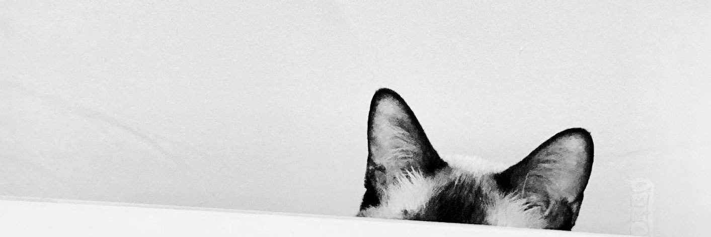 isb0x's profile banner image