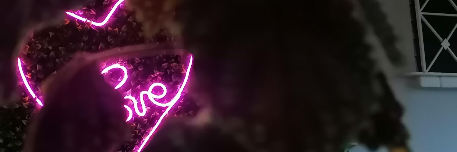 AlexisMatus11's profile banner image