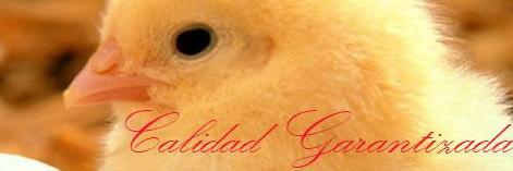 AVECOX banner