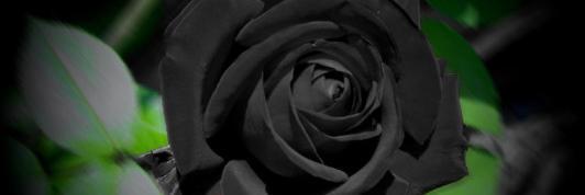 DBlackD2200's profile banner image