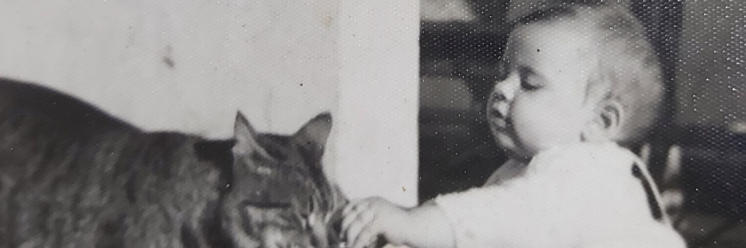 KatyllucPik's profile banner image