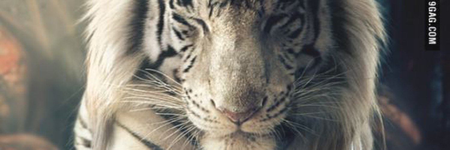 dimasprdbth's profile banner image
