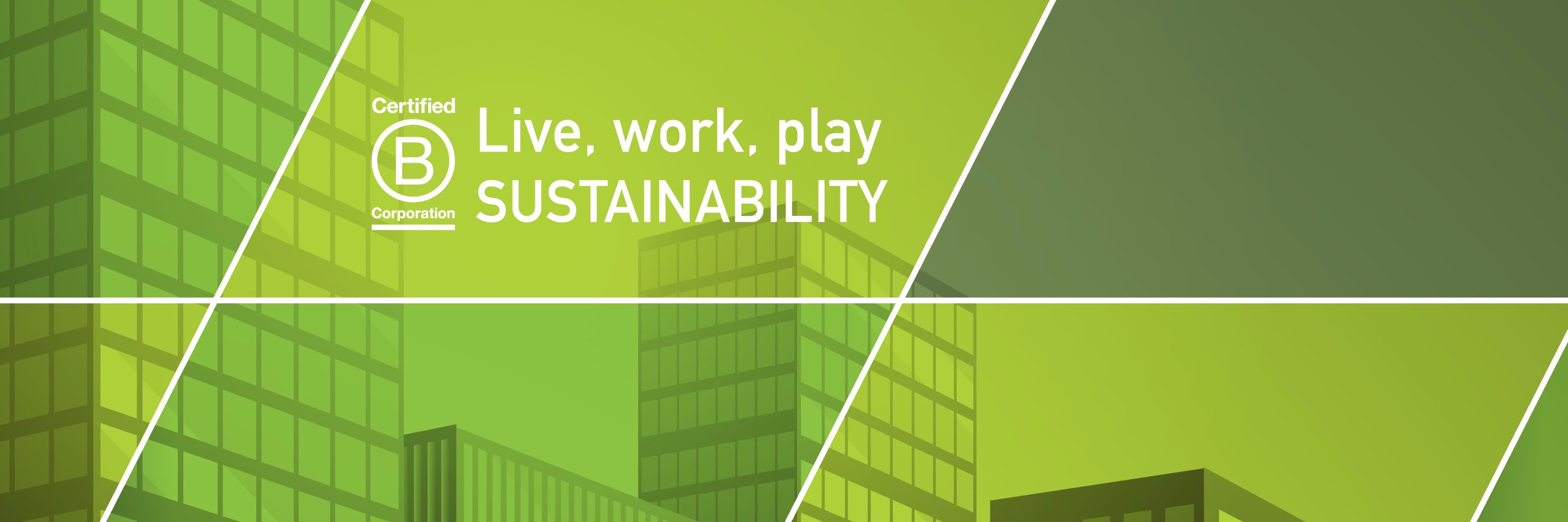 Ecolution Consulting banner