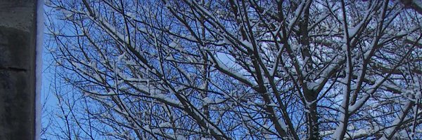 fyq_abel Profile Banner