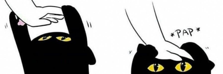 notakay_'s profile banner image