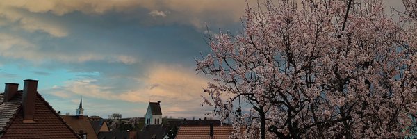laurent_kremer Profile Banner