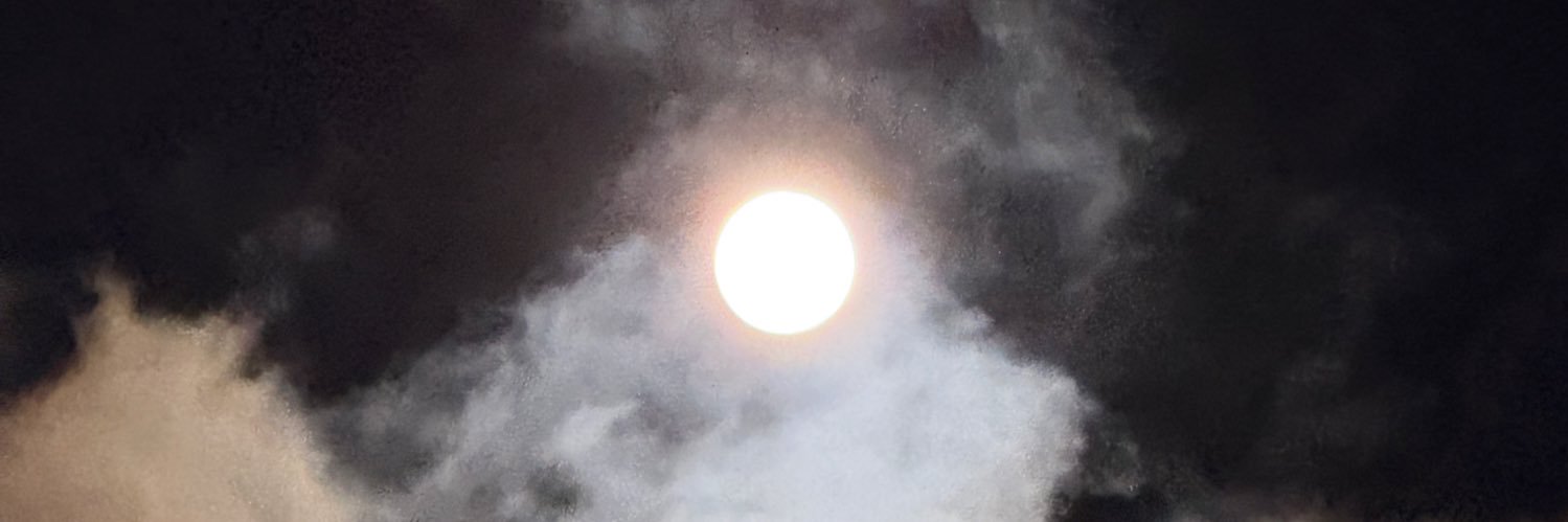 鈴木砂羽☺︎ banner