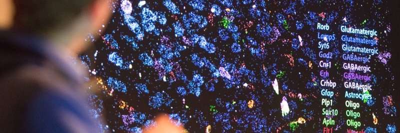 BioSB banner