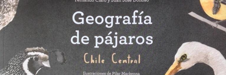 Fernando Claro banner