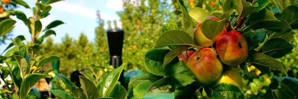 harrys_cider Profile Banner