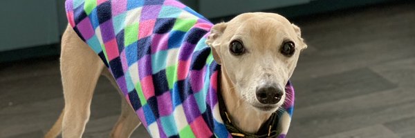 Liz_whippet Profile Banner