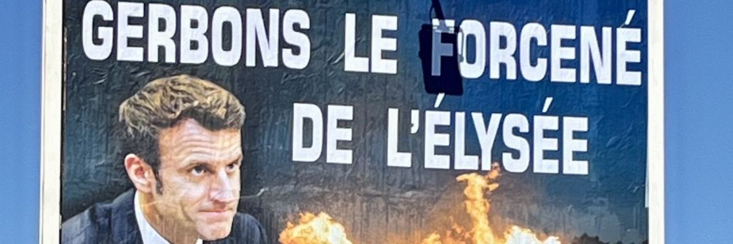 FineT 🐢 🌻🪷🍄🌹 banner
