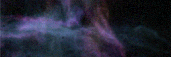 Dillbridge Profile Banner