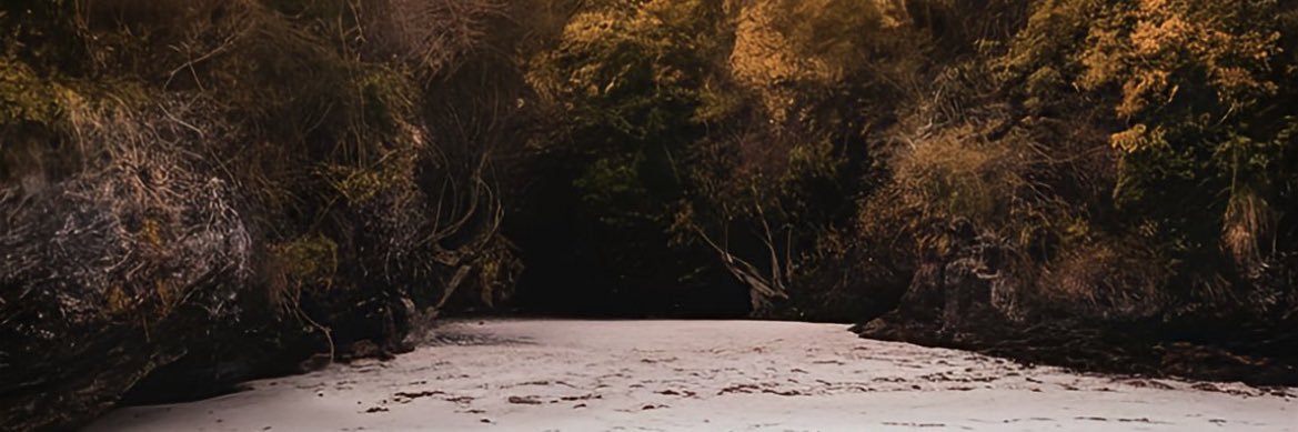 PinkPrettyKash's profile banner image