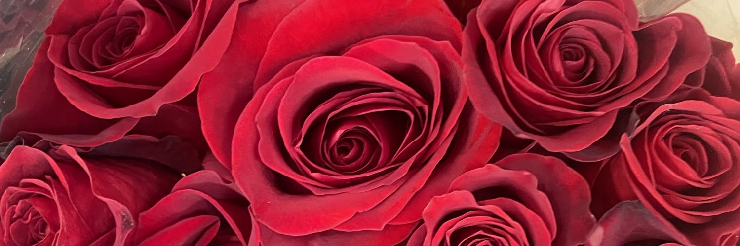 _breerave's profile banner image