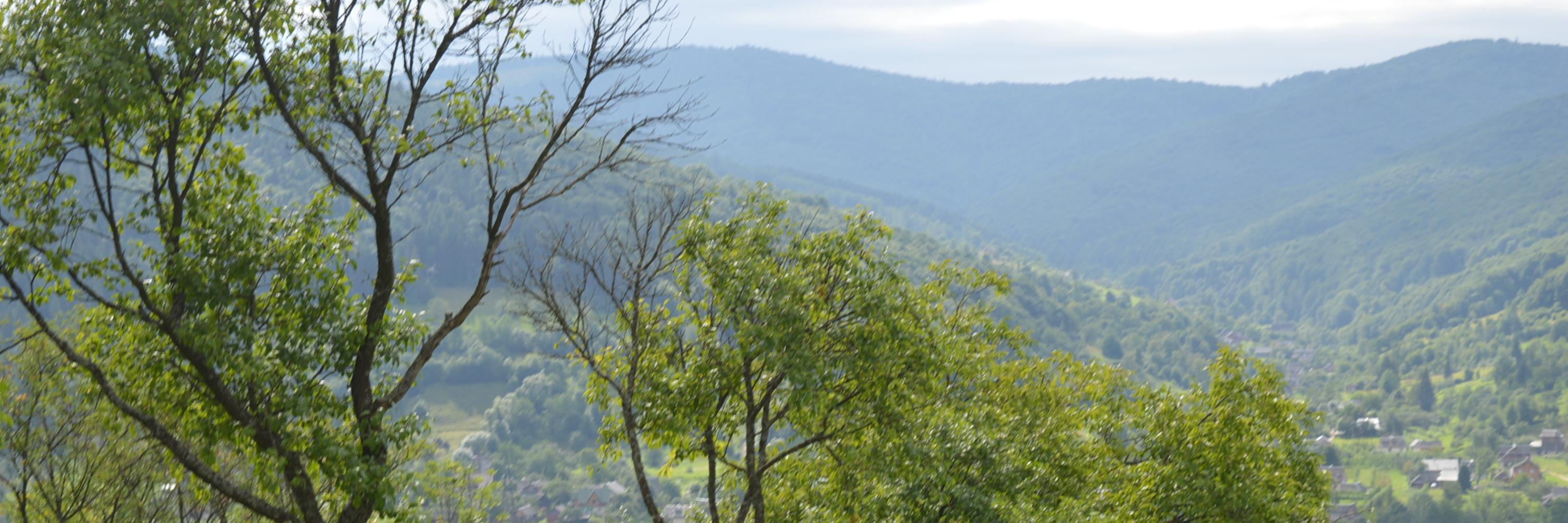 pmzubar's profile banner image