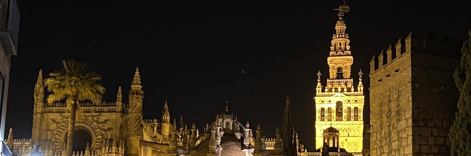 mfblasco's profile banner image