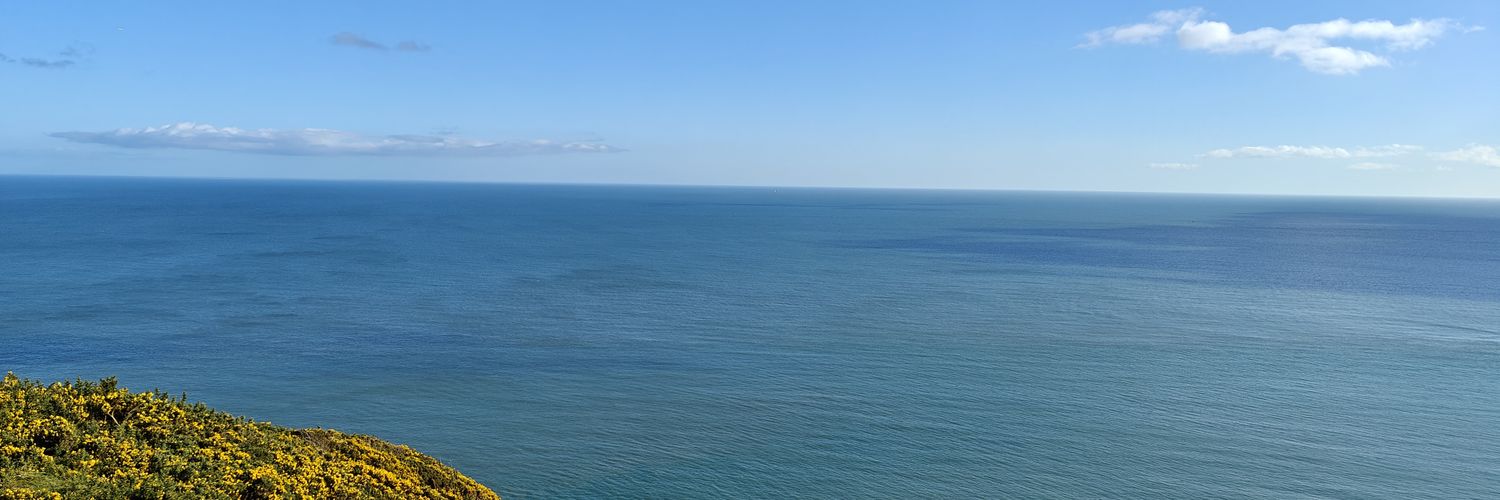 pao101's profile banner image