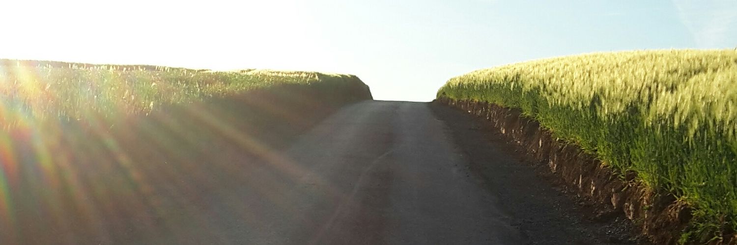 Lagerkarton's profile banner image