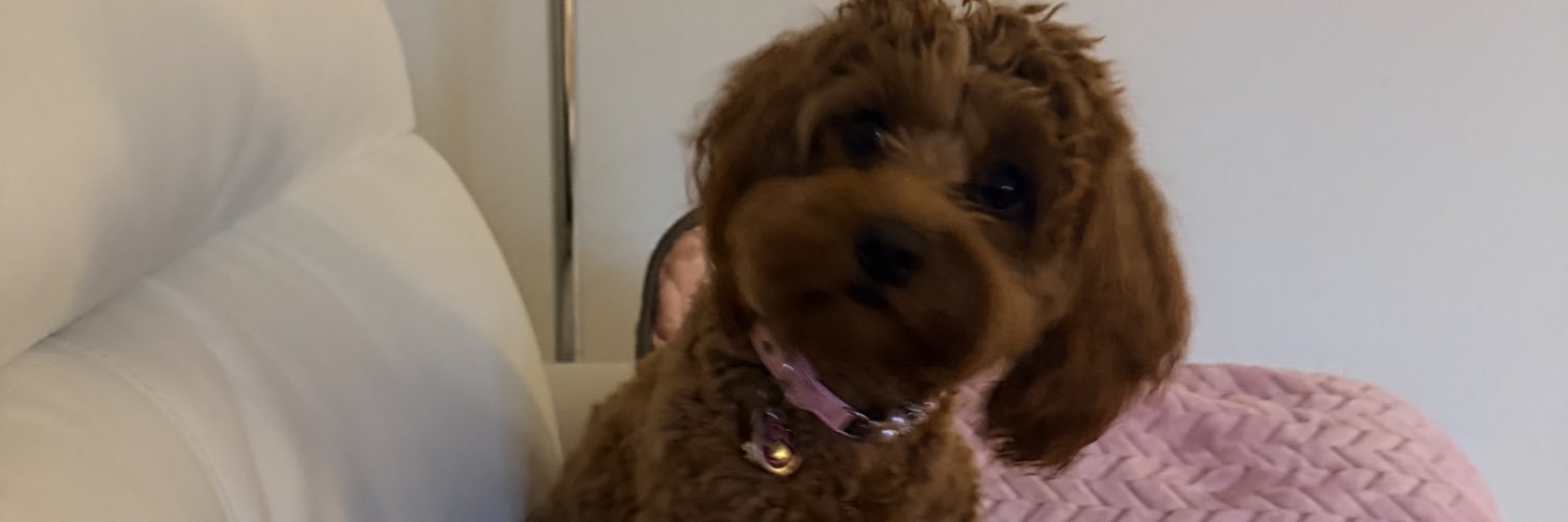 Daughter of The Way 🙏🕎✝️🏴󠁧󠁢󠁳󠁣󠁴󠁿🇮🇱 banner