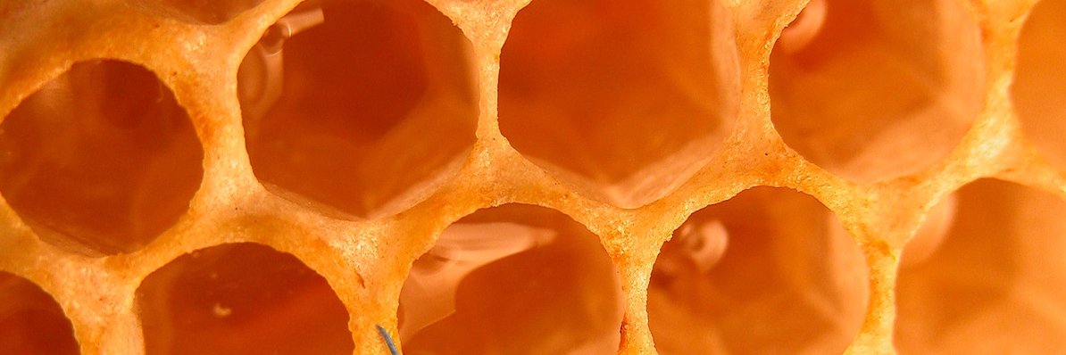 Robissl's profile banner image