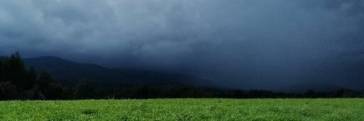 sonia_panek's profile banner image