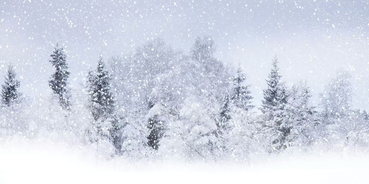Jxn_SnowDays's profile banner image