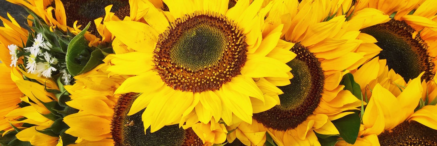 AndriLuRM's profile banner image