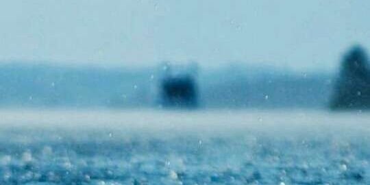 Daniela Pagliarulo banner