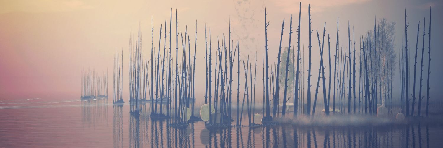 Raquelina E banner