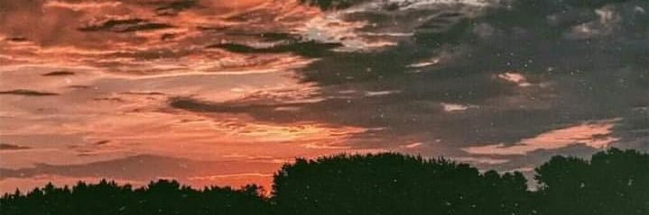 ✰ rylee ✰ banner