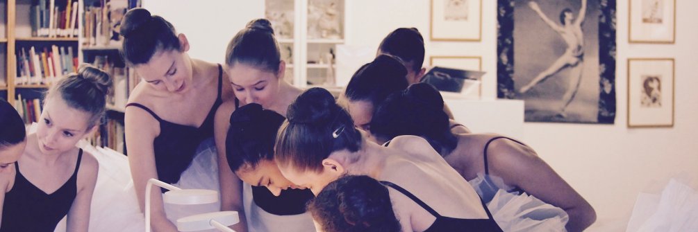 Bibliodanse banner