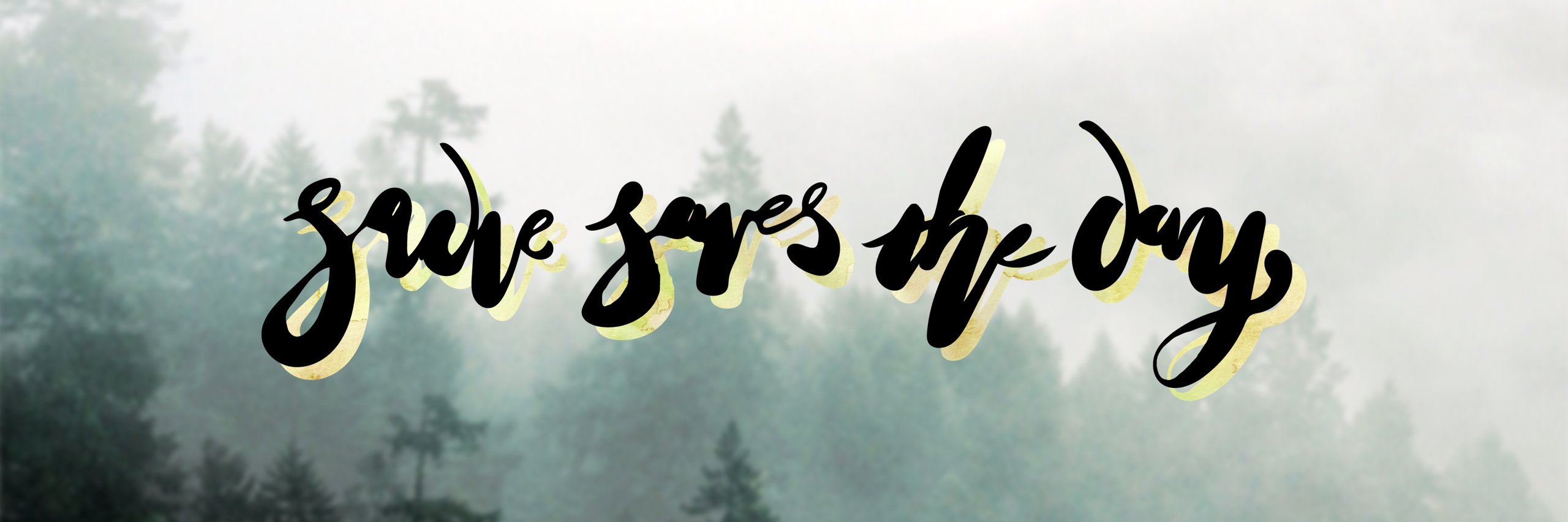 sadiesavesit's profile banner image