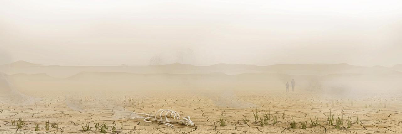 Roland Deschain banner