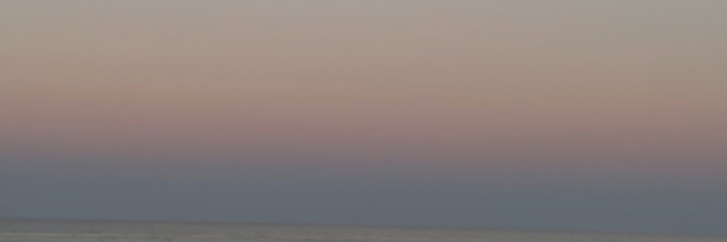 RaffoFaustini's profile banner image