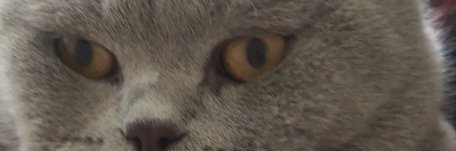 tabasabri's profile banner image