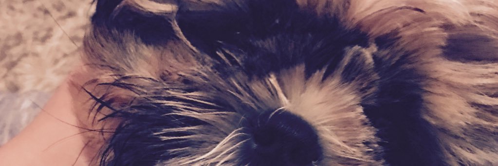 teeangelive's profile banner image