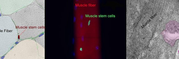 sduguez_lab Profile Banner