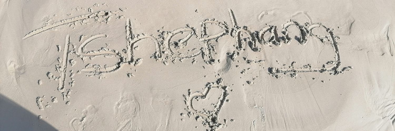 tshephi96's profile banner image
