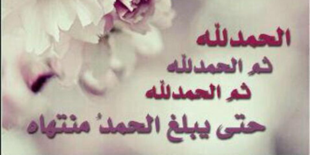 s71236916's profile banner image
