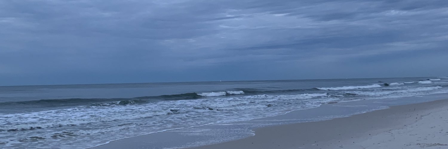 MonicaSWilliams's profile banner image