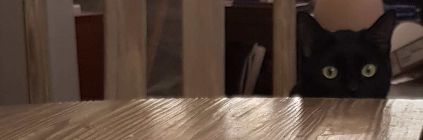 JakeTheMayer's profile banner image