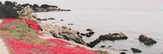 ptvftbvb's profile banner image