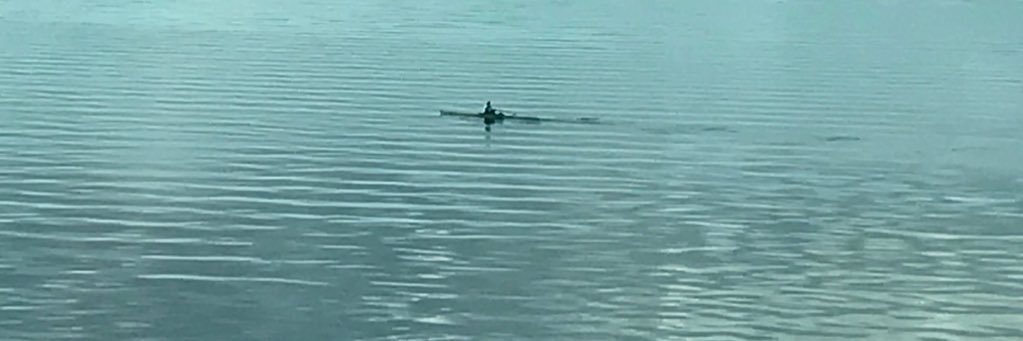 rickmatos's profile banner image