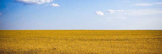 sakaris's profile banner image
